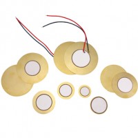 Piezo Element & Vibrator (8)