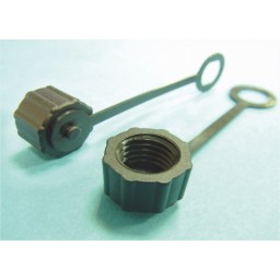 CAV-1