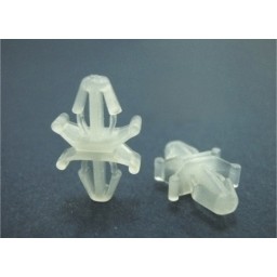 CBSS-2