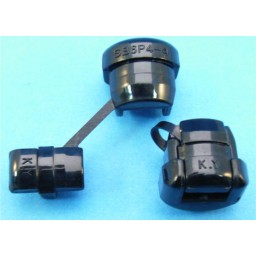 SB6P4-4